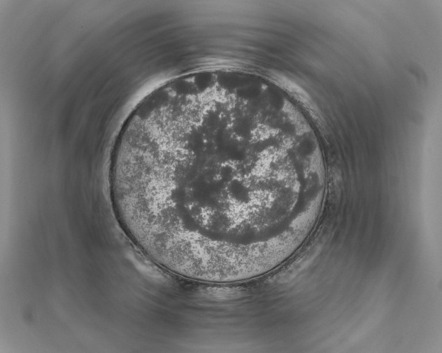 X0000111451427200908031404