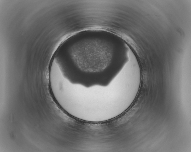 X0000111451428200908031404