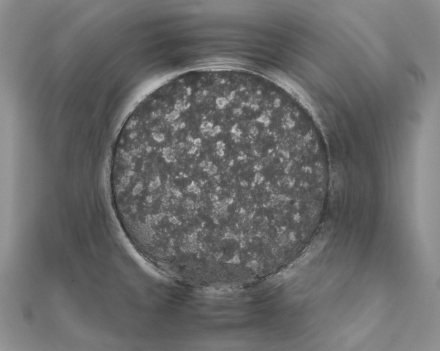 X0000111451429200908031404