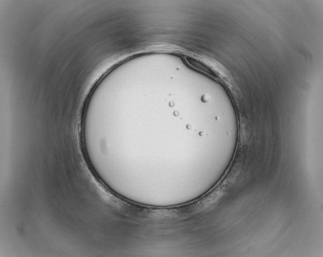 X0000111451430200908031404