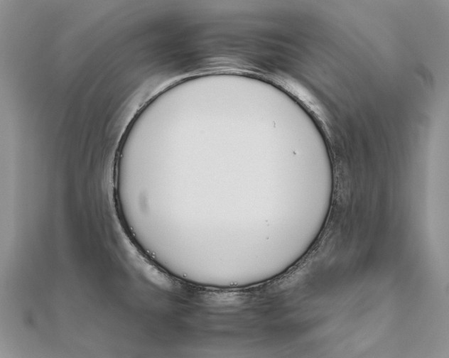 X0000111451431200908031404