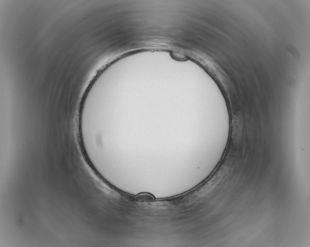 X0000111451432200908031404