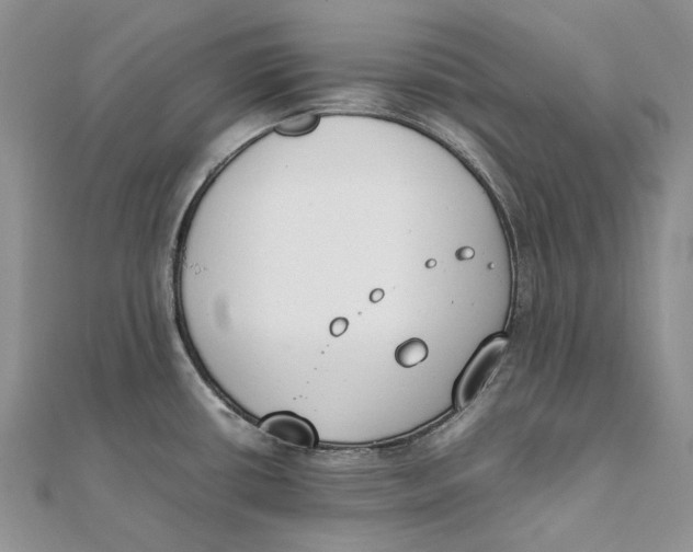 X0000111451434200908031404