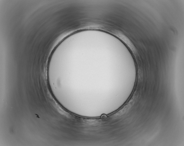 X0000111451436200908031404