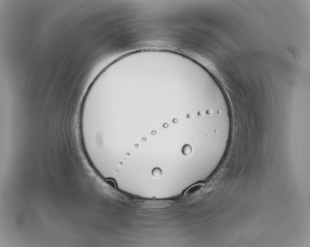 X0000111451440200908031404