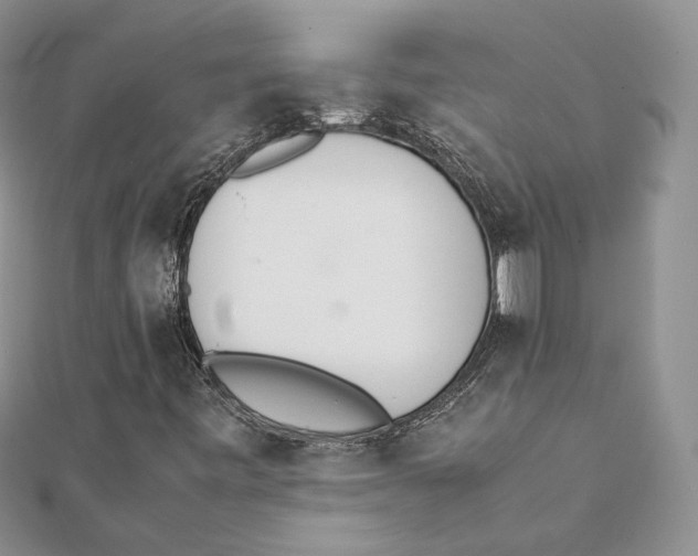 X0000111451443200908031403