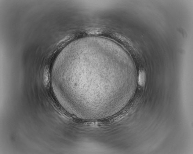 X0000111451444200908031403