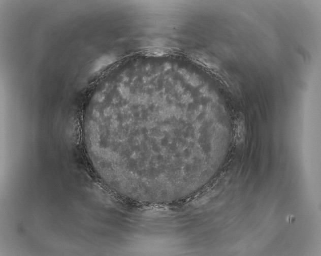 X0000111451446200908031403