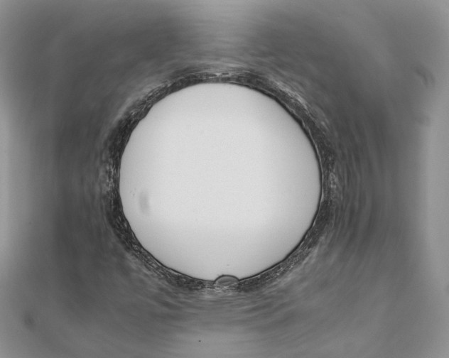 X0000111451447200908031403