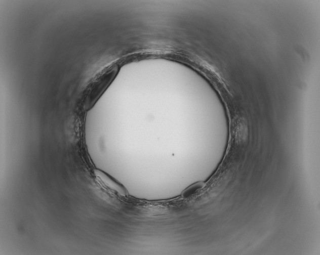 X0000111451448200908031403