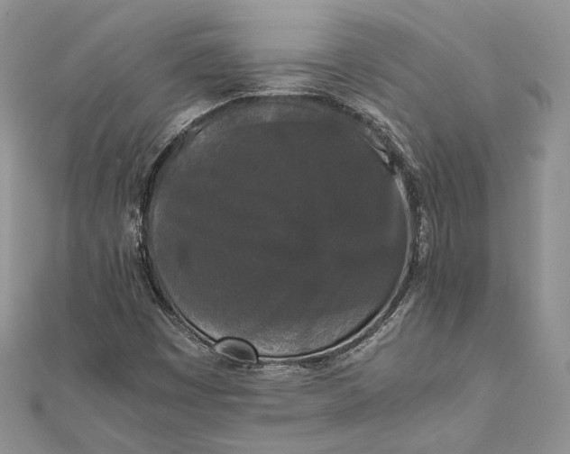 X0000111451449200908031403