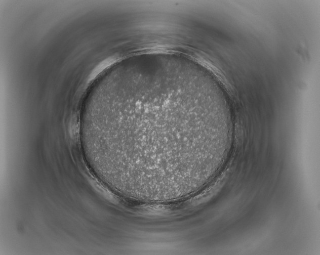 X0000111451450200908031403