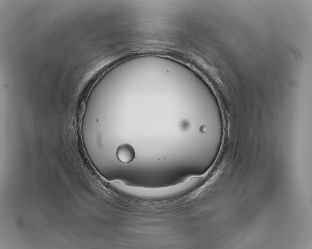 X0000111451453200908031403