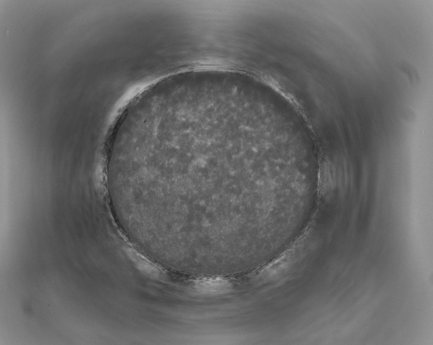 X0000111451454200908031403