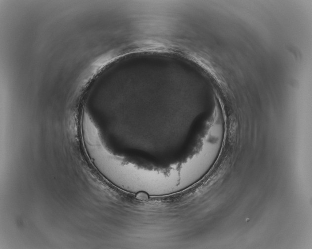 X0000111451455200908031403