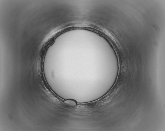 X0000111451456200908031403