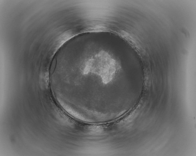 X0000111451457200908031403