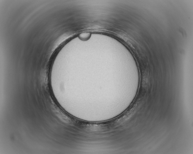 X0000111451458200908031403