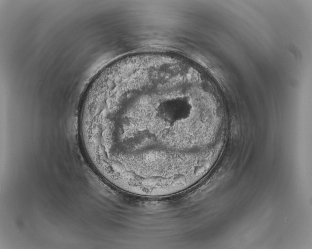 X0000111451459200908031403
