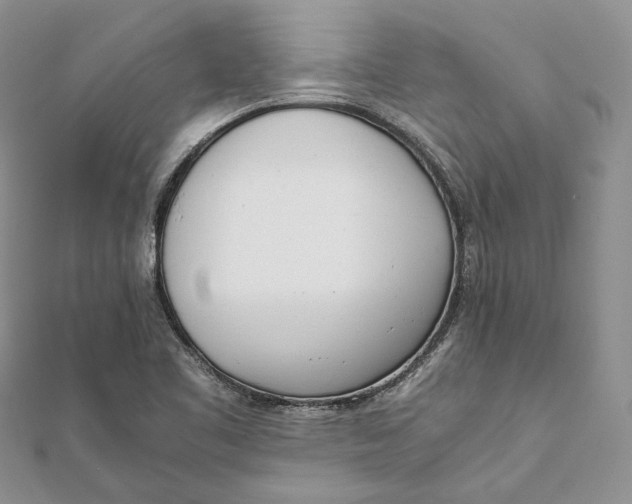 X0000111451461200908031403