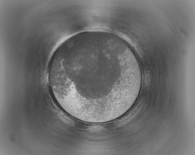 X0000111451462200908031403