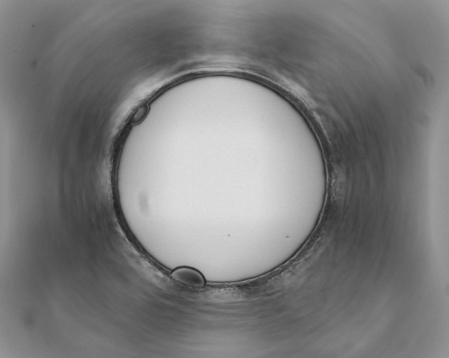 X0000111451464200908031403