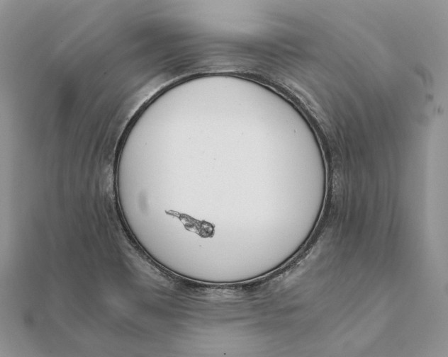 X0000111451465200908031403