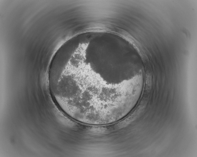 X0000111451466200908031403