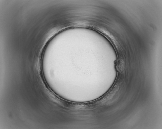X0000111451467200908031403
