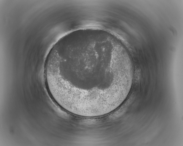 X0000111451470200908031403