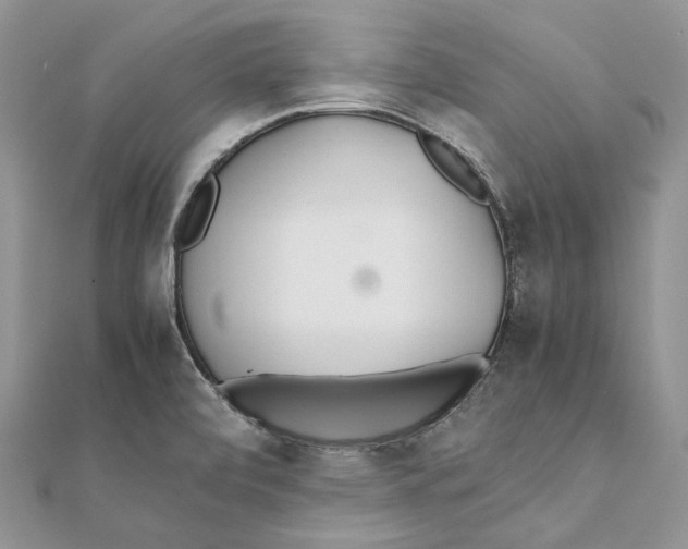 X0000111451472200908031403