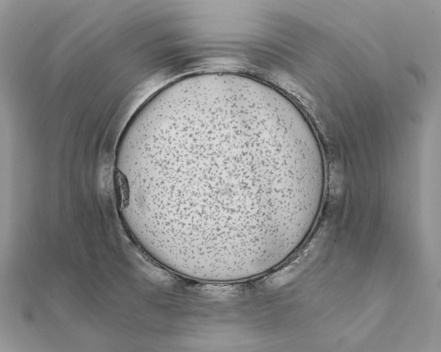 X0000111451473200908031403