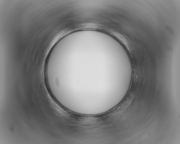 X0000111451475200908031403
