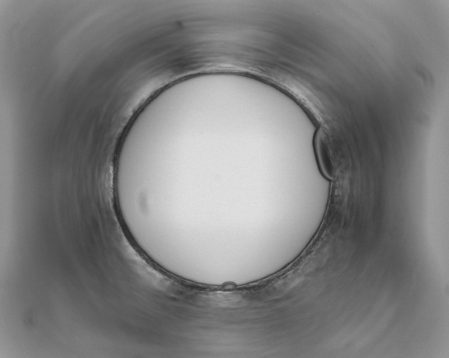 X0000111451476200908031403