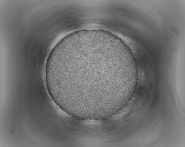 X0000111451478200908031403