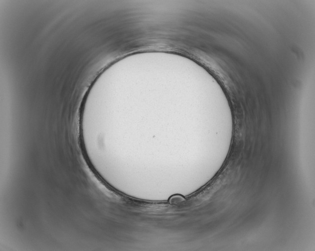 X0000111451479200908031403