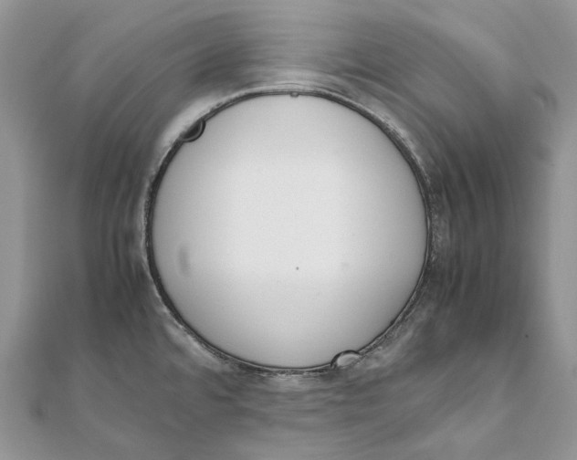 X0000111451480200908031403
