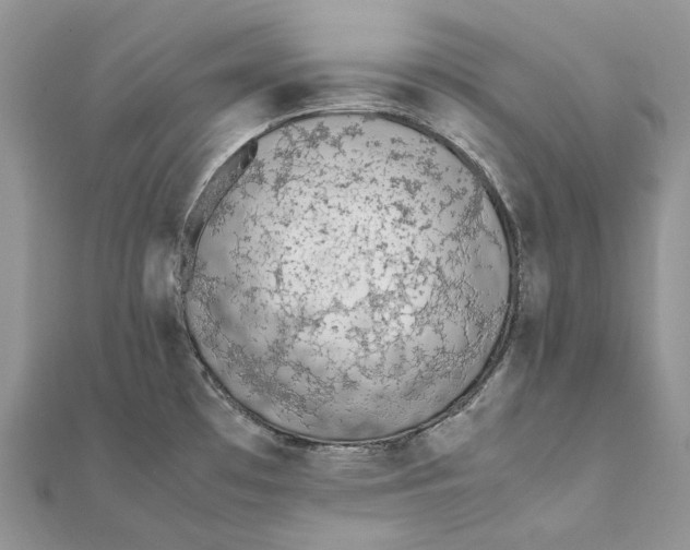 X0000111451481200908031403