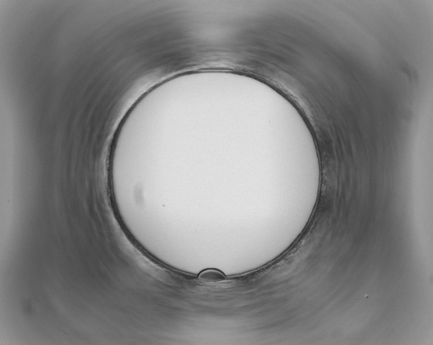 X0000111451483200908031403