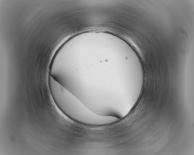 X0000111451484200908031403