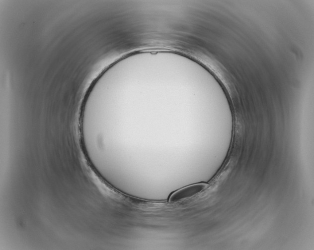 X0000111451485200908031403