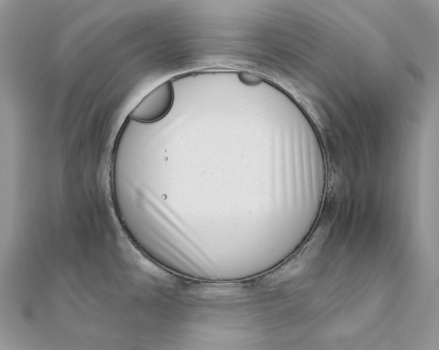 X0000111451486200908031403