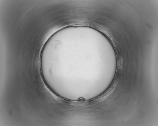 X0000111451487200908031403