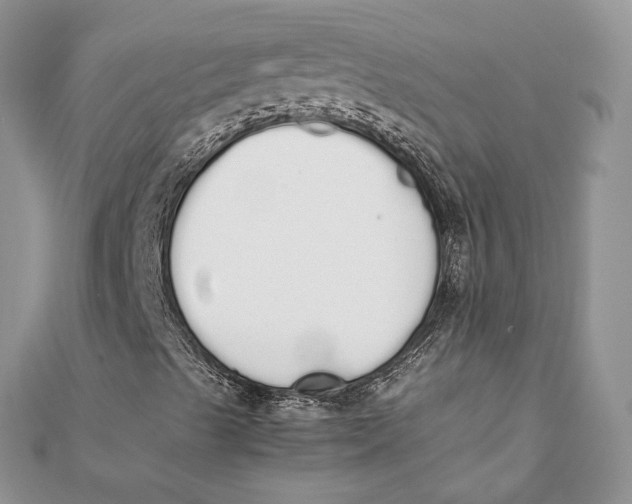 X0000111451489200908031402