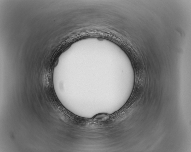 X0000111451490200908031402