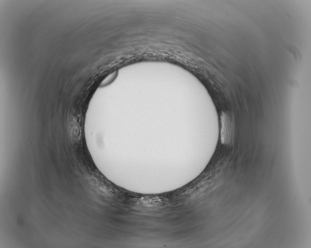 X0000111451491200908031402