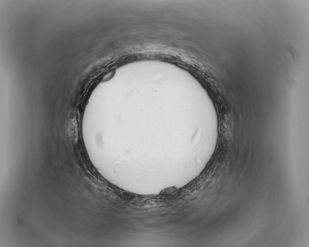 X0000111451493200908031402