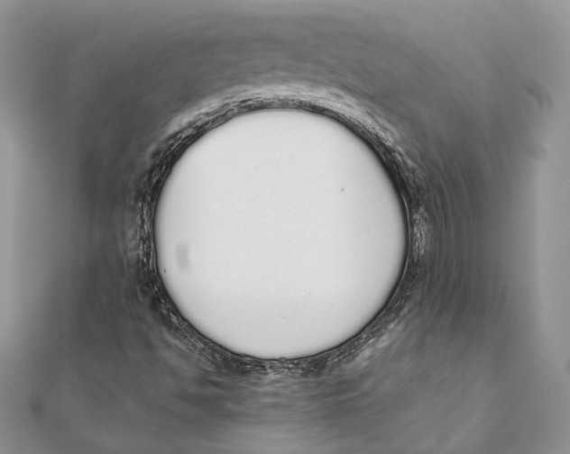 X0000111451494200908031402