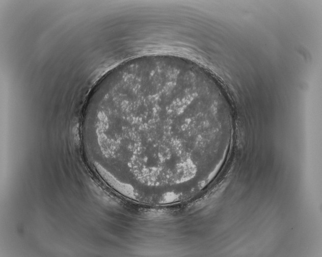 X0000111451497200908031402