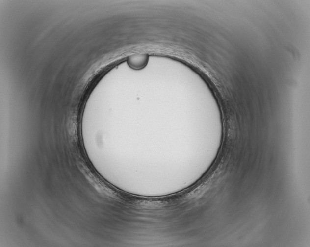 X0000111451499200908031402